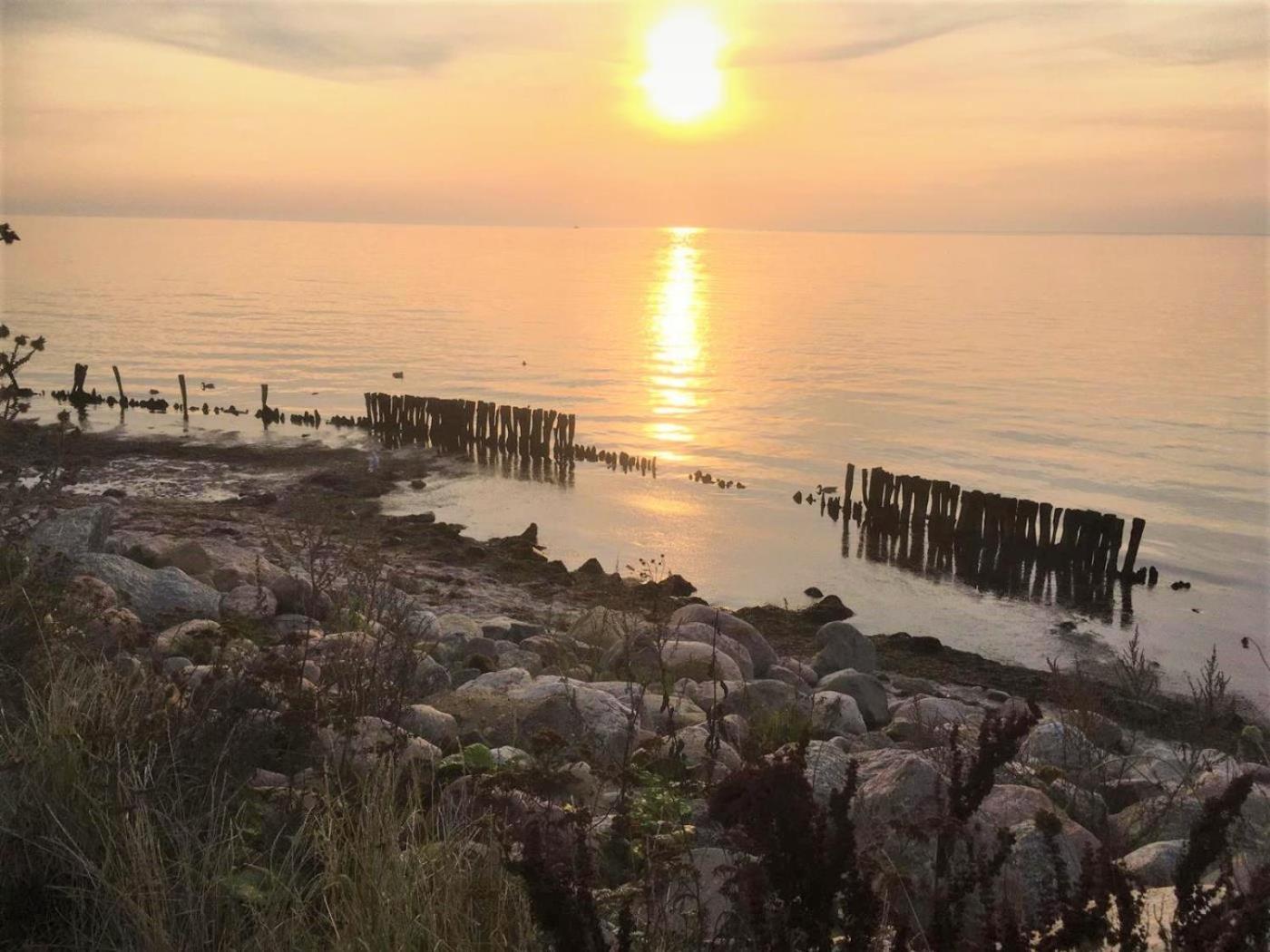 Dahmer Strand 18 Muschelhus Buitenkant foto